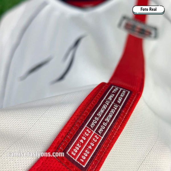 INGLATERRA 2002