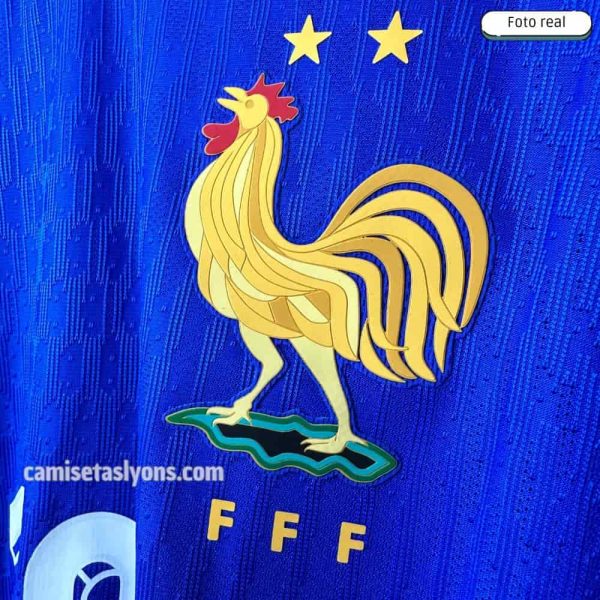 FRANCIA 2024/25 (LOCAL) VERSIÓN JUGADOR