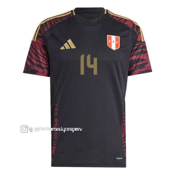 PERÚ 2024 (VISITANTE)