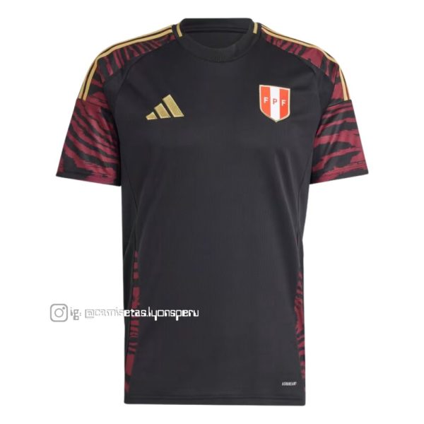 PERÚ 2024 (VISITANTE)